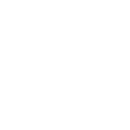 photography