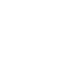 smm